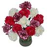 Sainsburys Carnation Trio Bouquet