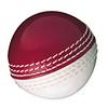 GM Cricket Skills Ball