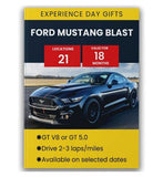 Activity Superstore Ford Mustang Blast
