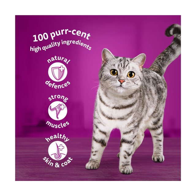 Whiskas 1+ Adult Wet Cat Food Pouches Fish Favourites in Jelly 12 x 85g GOODS M&S