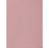 Microplane Stainless Steel Zester/Grater - McGrocer