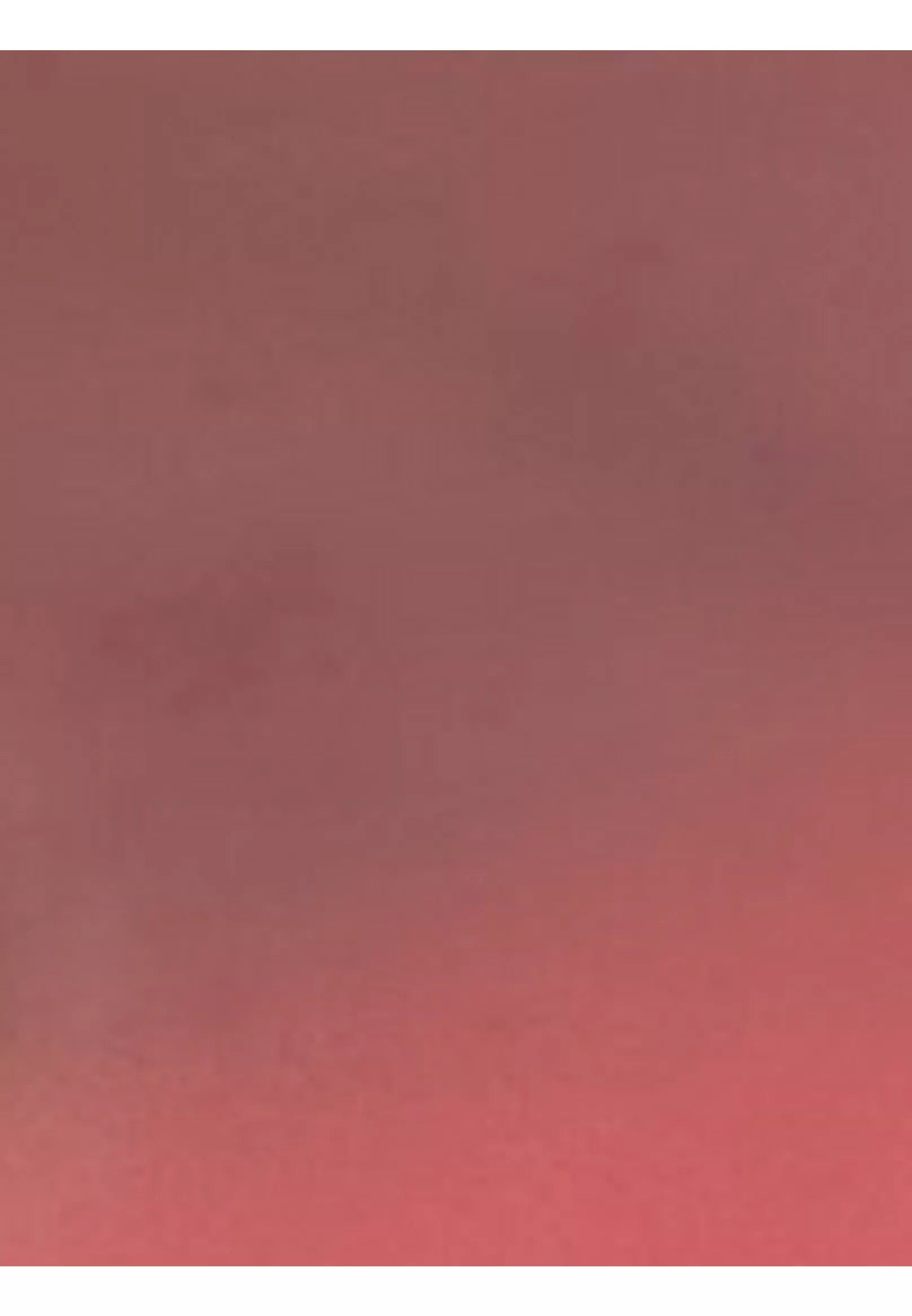 John Lewis X Collagerie Scallop Candle Holder - McGrocer