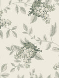 Laura Ashley Portland Wallpaper Fern 127393