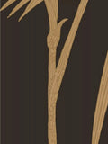 Cole & Son Palm Leaves Wallpaper