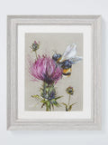 John Lewis Nicola Jane Rowles 'Bee' Framed Print & Mount, 35 x 29cm, Grey - McGrocer