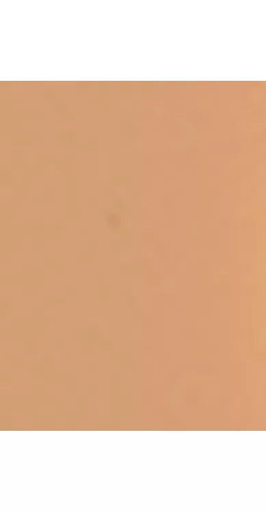 Trinny London BFF All Day Foundation - McGrocer