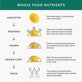 Together Health Gentle Iron – Iron Supplement – 30 Capsules GOODS Superdrug