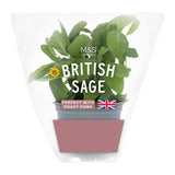 M&S British Sage