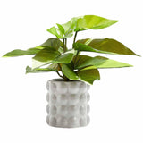 M&S Moss & Sweetpea Artificial Philodendron in Ceramic Pot Green