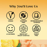 Twinings Lemon & Ginger Tea, 20 Tea Bags