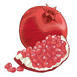 Burt's Bees 100% Natural Lip Balm Pomegranate 4.25g - 999225