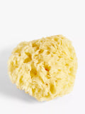 John Lewis ANYDAY Natural Bath Sponge - McGrocer