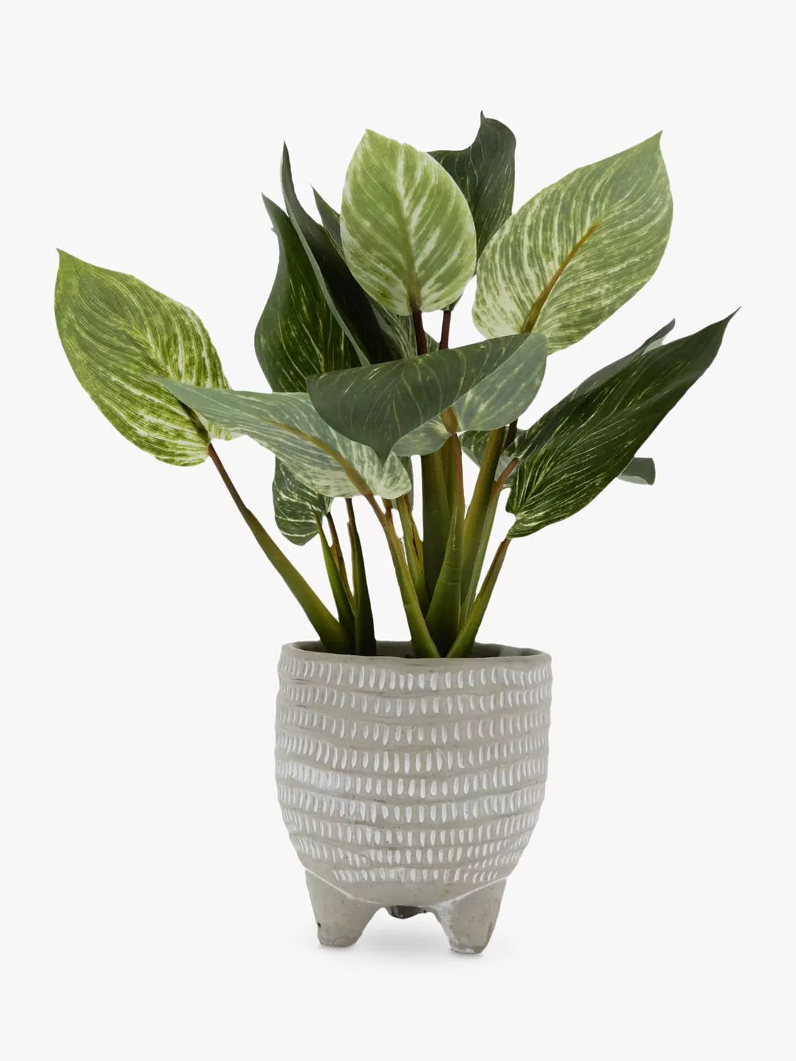 John Lewis Artificial Evergreen Leaves in Footed Pot - McGrocer
