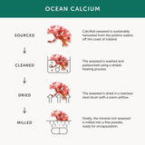 Together Vegan Multivitamins & Minerals Supplement Vegetable Capsules 60 per pack GOODS M&S