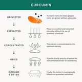 Together WholeHerb Curcumin & Turmeric Root Capsules   30 per pack GOODS M&S