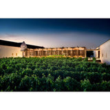 Babylonstoren Babel Red Blend 75cl - McGrocer