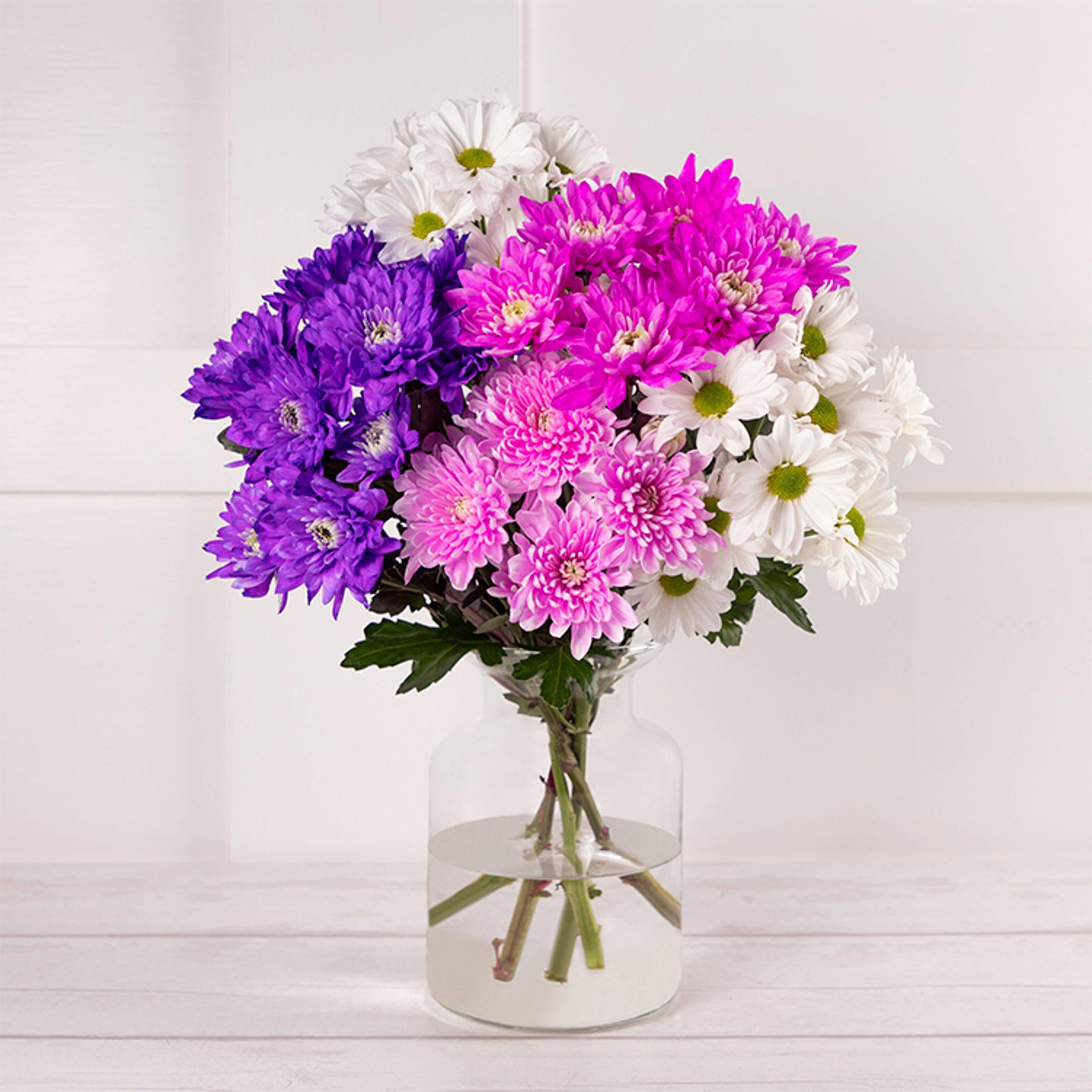 Fun Flowers Dyed Chrysanthemums - McGrocer