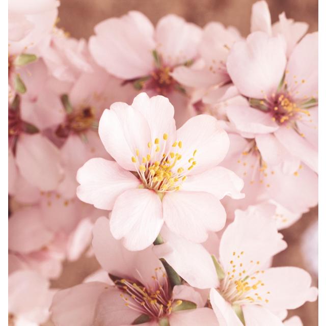 Weleda Natural Almond Sensitive Skin Body Wash Vegan   200ml GOODS M&S