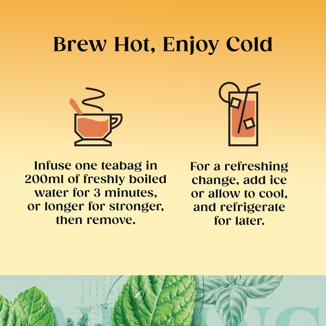 Twinings Peppermint Tea 20 per pack GOODS M&S