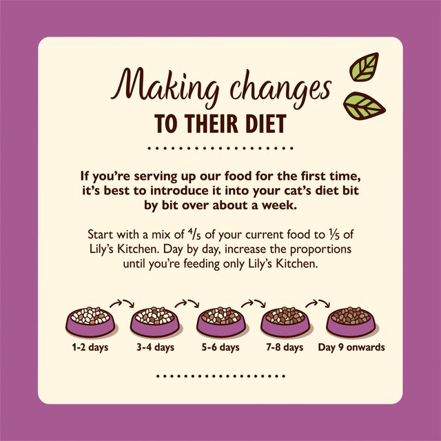 Lily's Kitchen Chicken & Cod with Shrimp Pate for Mature Cats 85g - McGrocer