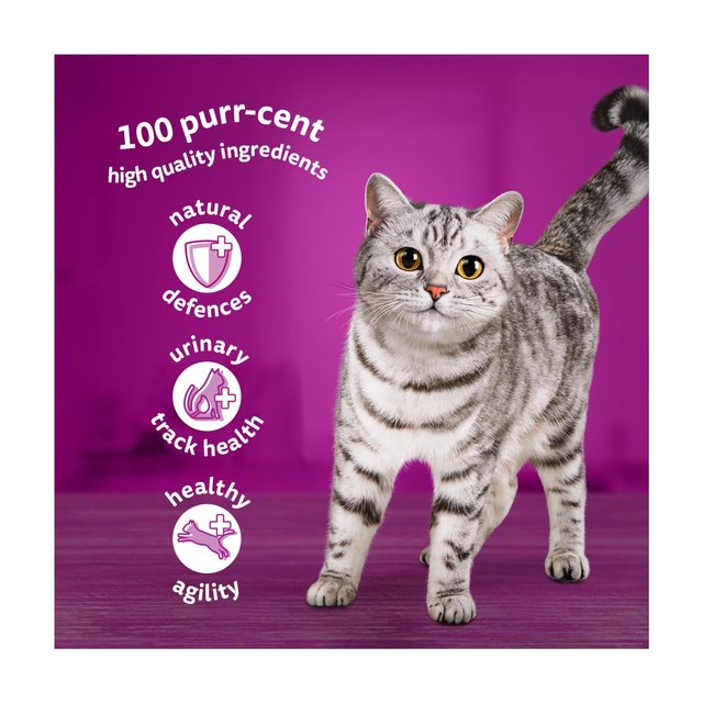 Whiskas 7+ Senior Wet Cat Food Poultry Feasts in Jelly   80 x 85g GOODS M&S