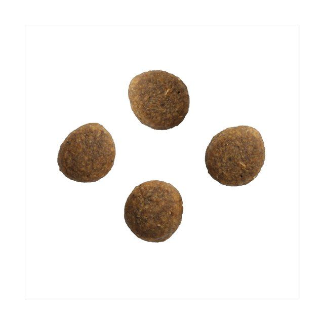 Crave Natural Grain Free Adult Dry Cat Food Salmon & Whitefish    750g