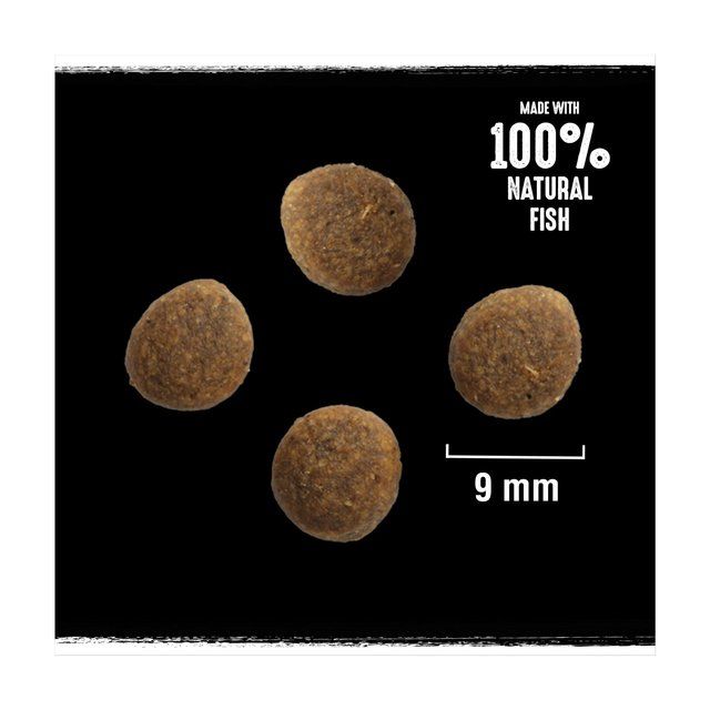 Crave Natural Grain Free Adult Dry Cat Food Salmon & Whitefish    750g