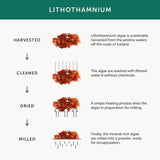 Together Night Time Marine Magnesium Complex Vegetable Capsules    60 per pack GOODS M&S