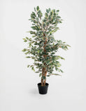 4ft Artificial Ficus Tree in Pot