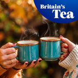 Tetley Herbal Fresh Mint Tea Bags x20