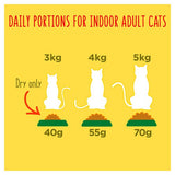 Go-Cat Indoor Chicken Dry Cat Food