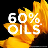 Garnier Olia 415 Iced Chocolate Brown Permanent Hair Dye