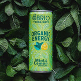 Brio Natural Organic Energy Drink Mint Lemon