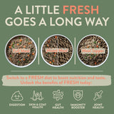 BOOST Pet Fish Supper Meal for Dogs