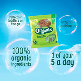 Organix Mini Organic Raisin Snack Boxes Toddler Snacks Multipack 12 months
