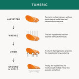 Together Health Turmeric Curcumin Supplement