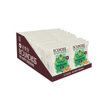 Boundless Sour Cream Onion Chips Multi-Pack