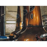 Bushmills 10 Year Old Single Malt Irish Whiskey