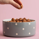 Terra Cogita Languedoc Soreli