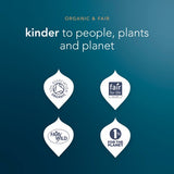 Set of 4 Timeless Wine Glasses