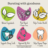 Forthglade Natural Plant Based Dental Sticks