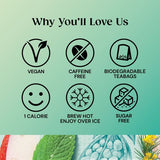 Twinings Superblends Digest with Spearmint Apple Rooibos