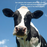 Little Freddie Organic Banana Greek Style Yoghurt Baby Food Pouch 6 M