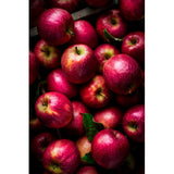 MS Pink Lady Apples