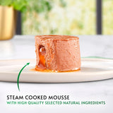 Gourmet Nature's Creations Gravy Heart Chicken Wet Cat Food