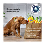 Pedigree Dentastix Daily Adult Medium Dog Treat Dental Chews 56 Pack