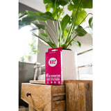 XO! Hi-Sensation 'Righteous Rubber' Ribbed + Dotted Condoms 6 per pack GOODS M&S