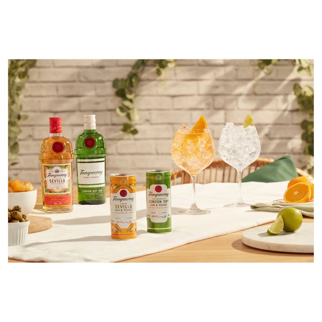 Tanqueray Flor De Sevilla Gin & Tonic Ready to Drink Can 250ml GOODS M&S
