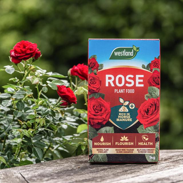 Westland Rose Food Enriched Horse Manure 1kg GOODS M&S