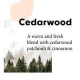 Wilton London Eco Non Bio Laundry Liquid Cedarwood   1L GOODS M&S